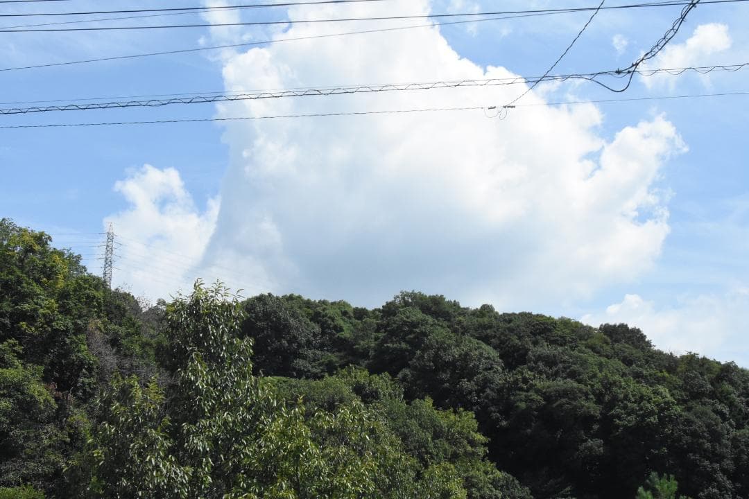 レンズ(ズーム) Nikon AF Nikkor 20-35mm F2.8D