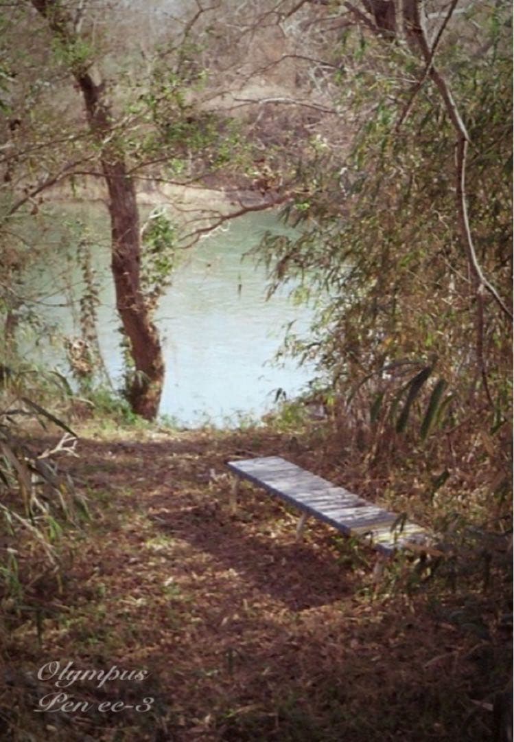 完動品＊美品＊初期保証★OLYMPUS Pen EE-3★フィルム入門に！