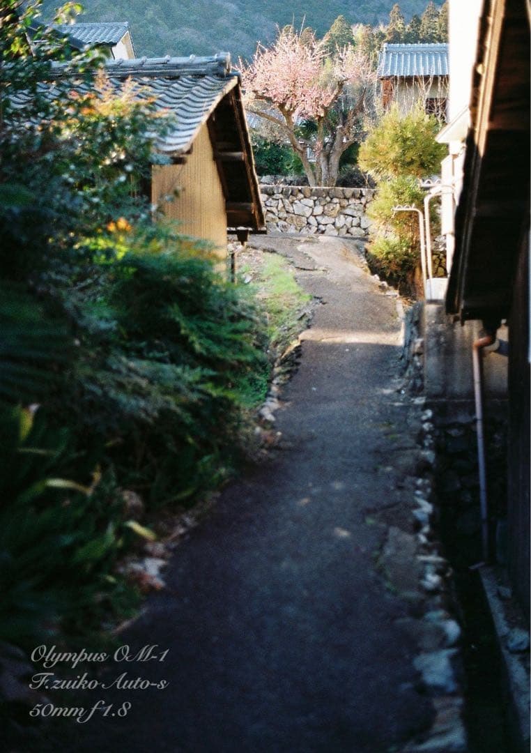 完動品＊美品＊初期保証★OLYMPUS OM-1★リザード本革外装★作例多数！