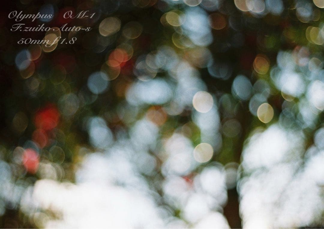 完動品＊美品＊初期保証★OLYMPUS OM-1★リザード本革外装★作例多数！