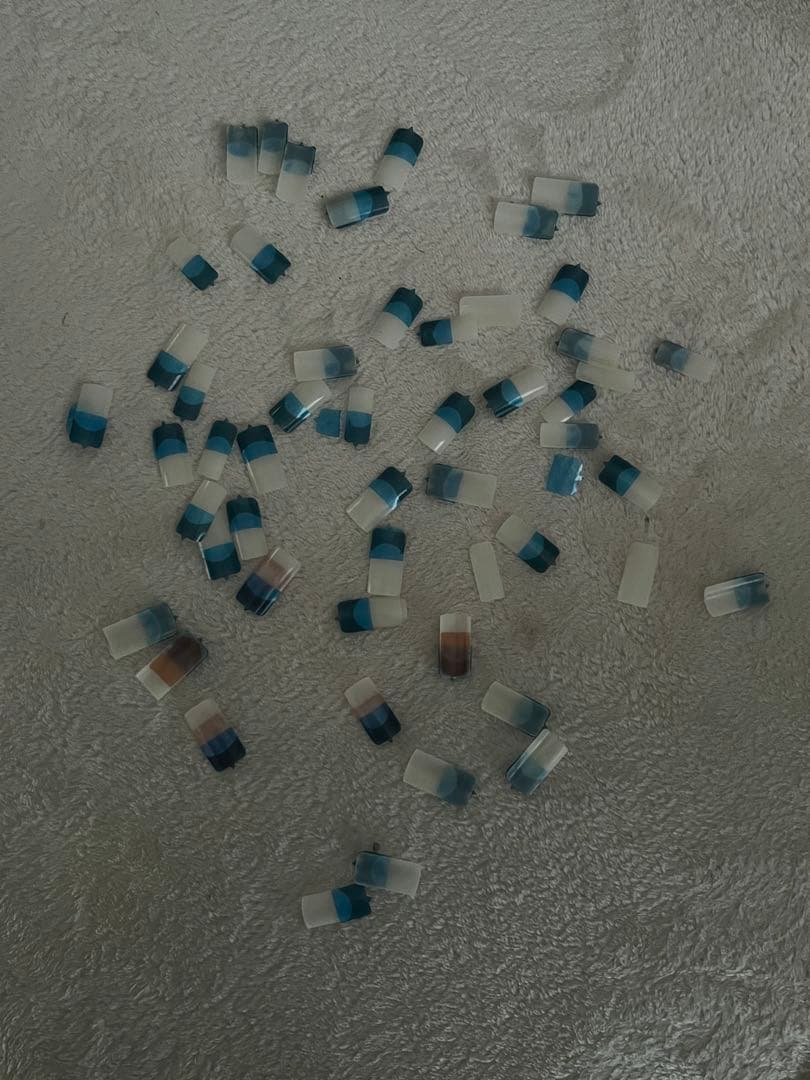 認定ハンド、ネイル検定