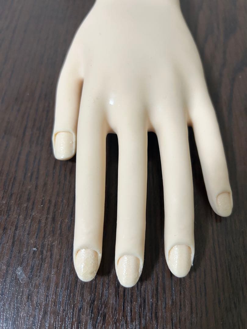 認定モデルハンド　本番用　骨折無し　専用チップ、キューティクルシールセット