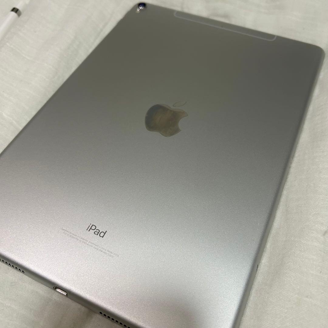 iPad本体 ホワイト + Apple Pencil用ペン先