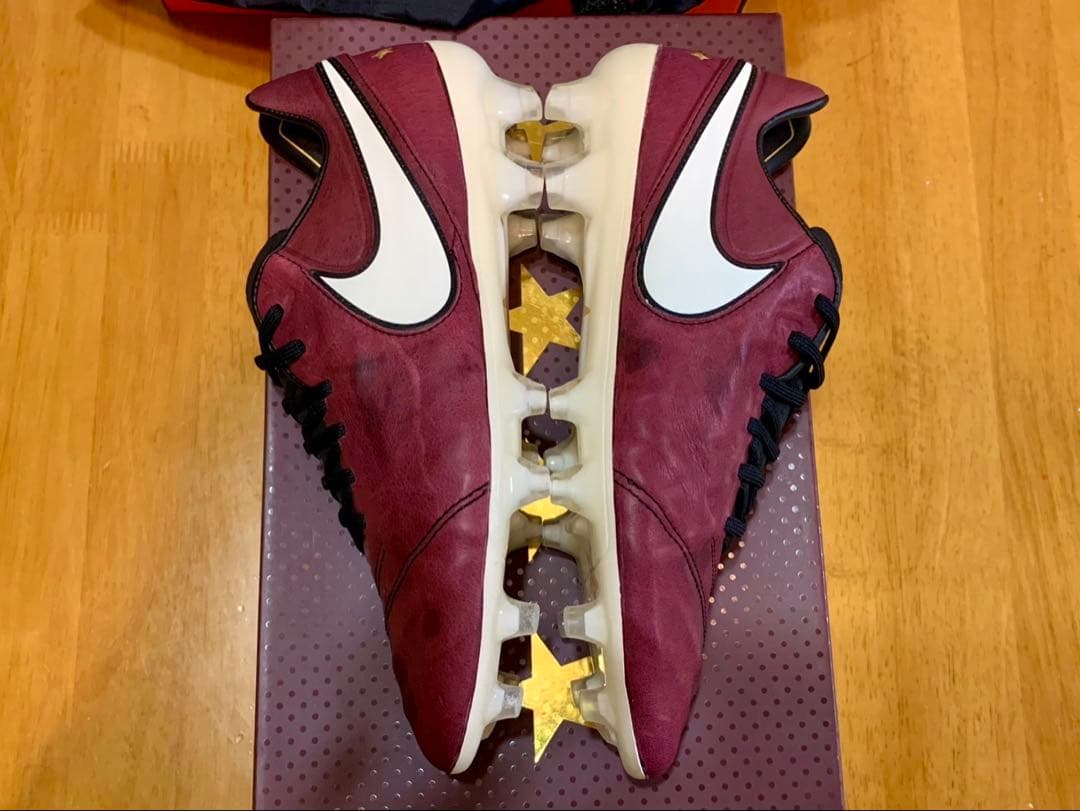 NIKE ティエンポレジェンド6 SE FGアンドレア ピルロ　25.0cm