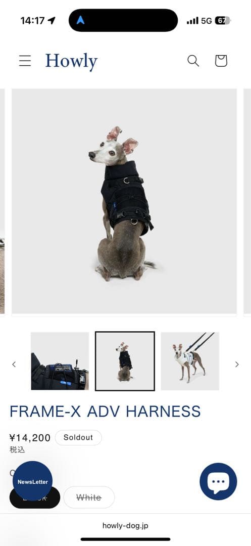 【Mサイズ黒】 試着のみHowly FRAME-X ADV HARNESS