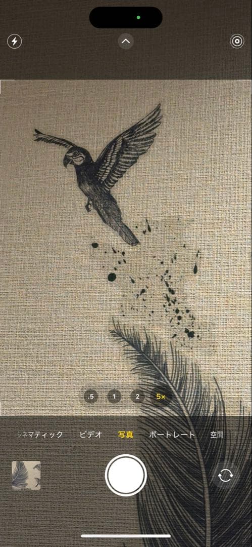 Apple iPhone 15 Pro Max 本体 512GB