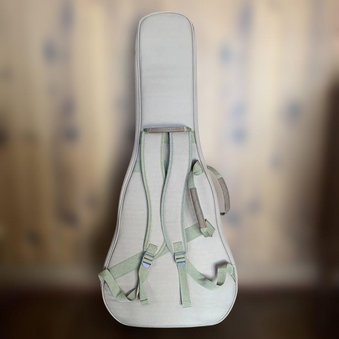 Taylor GS Mini ケース付