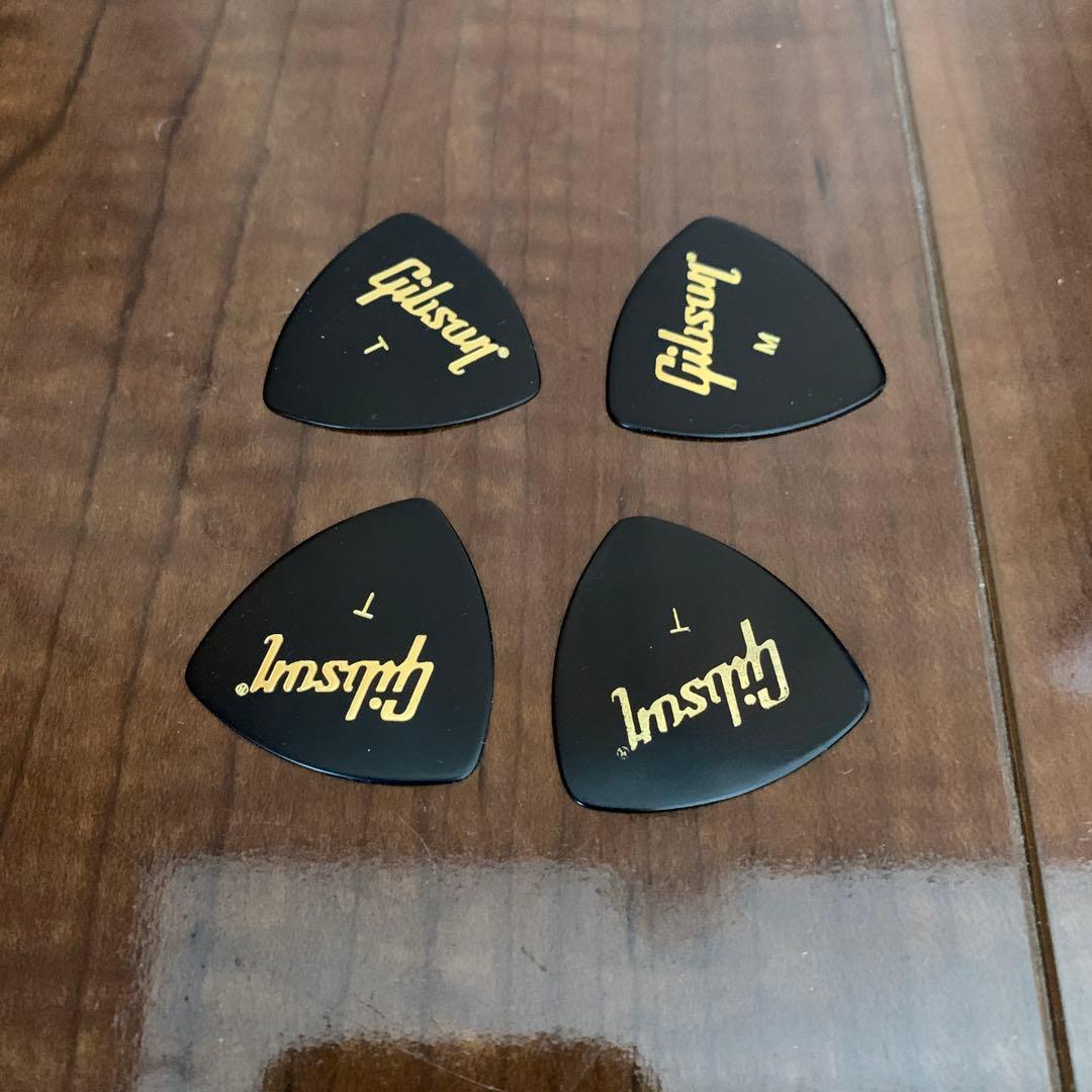 Taylor GS Mini ケース付