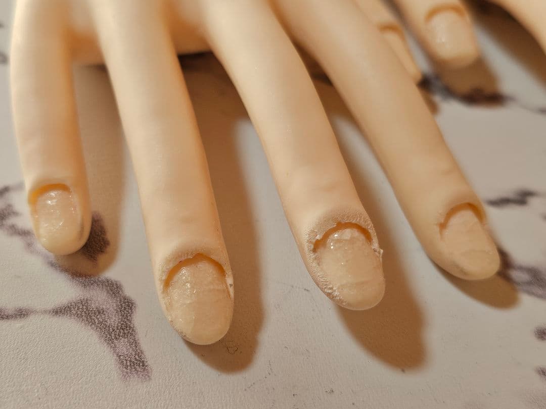 ネイリスト技能検定試験用　JNEC認定モデルハンド 2セット