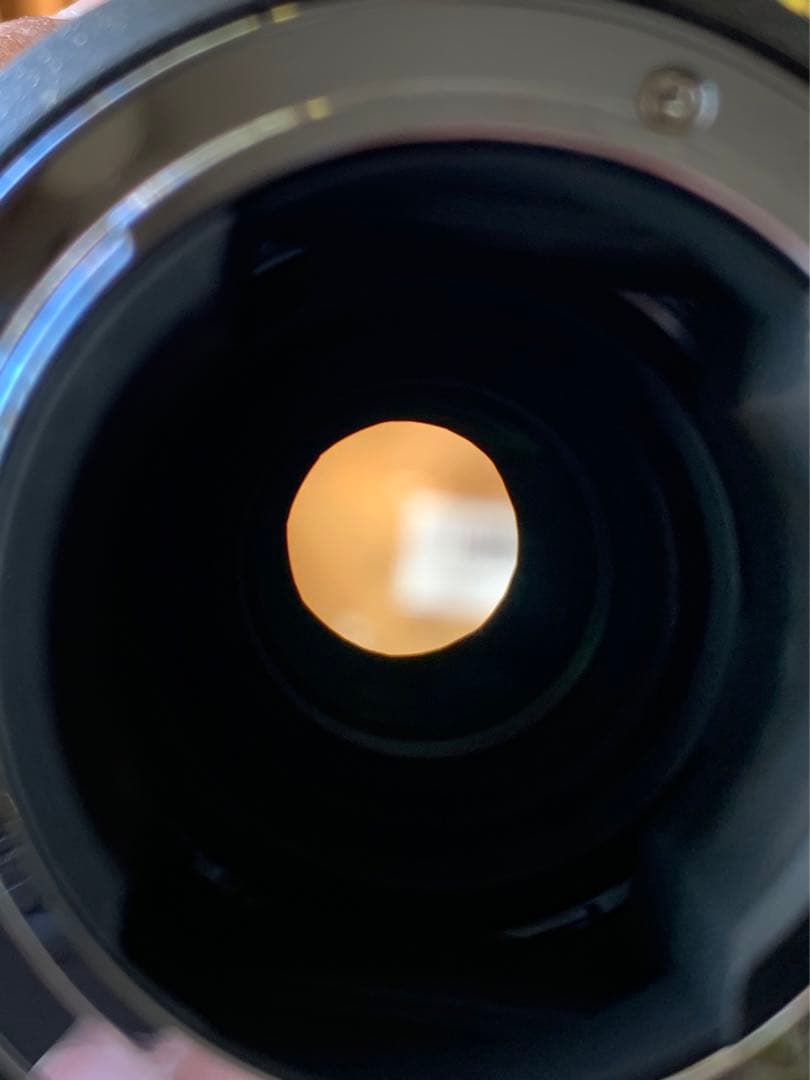 ニコン 24-120mm f/4 ＋ Commlite ソニー用 AFアダプター