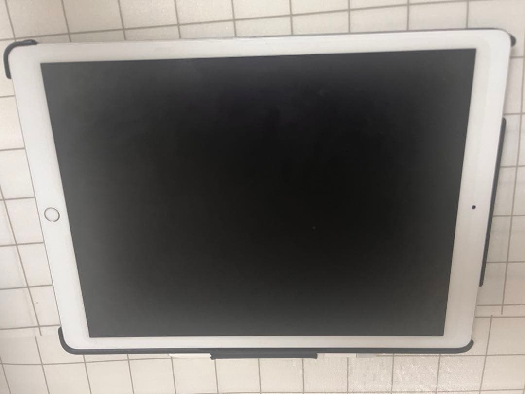 iPad Pro (第2世代) 12.9インチ 256GB スペースグレイ