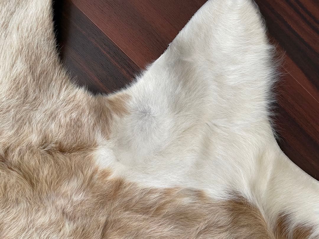 売り切り価格！　牛毛付き革 カウラグ カウハイド