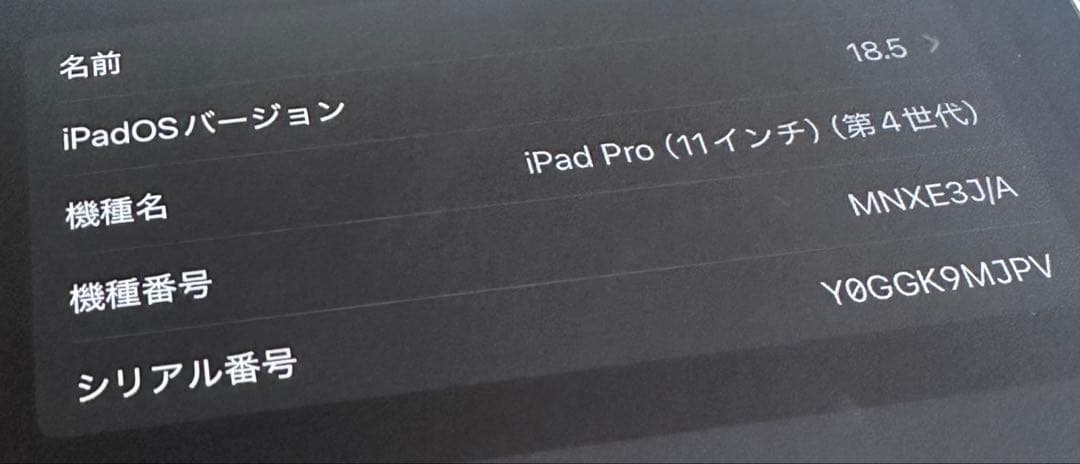 11インチiPad pro（第4世代）Wi-Fi 128GB