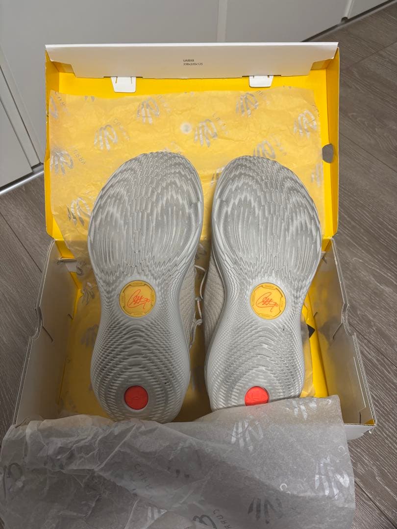 シューズ(男性用) Curry 12 29cm