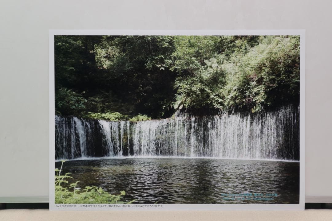 インテリア用写真