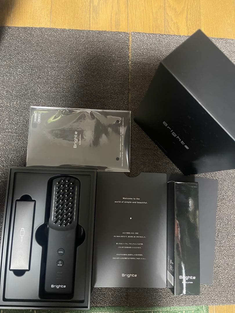 本日購入で1000円引き　ブライトエレキブラシ