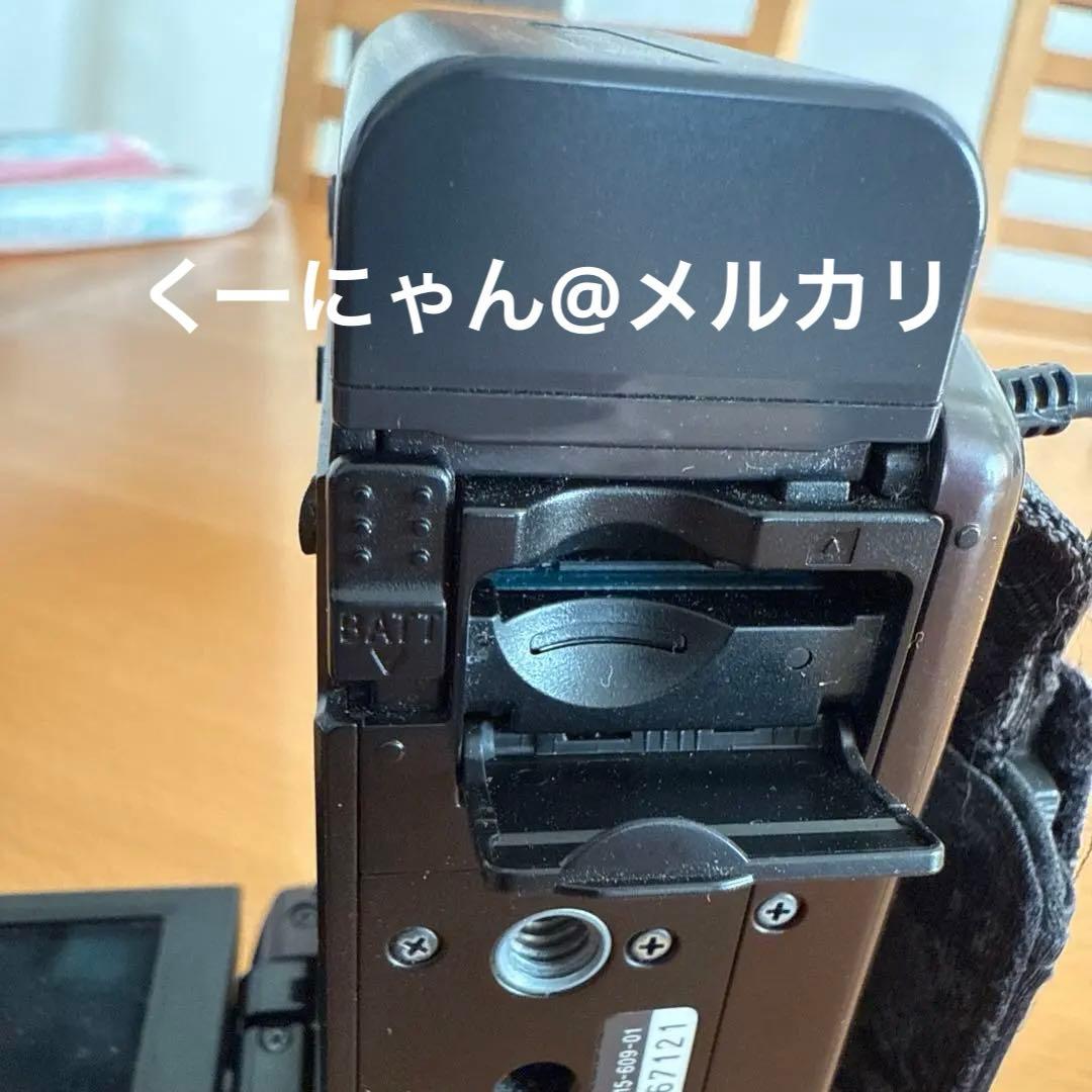 ソニーハイビジョンデジタルビデオカメラHDR-CX590V