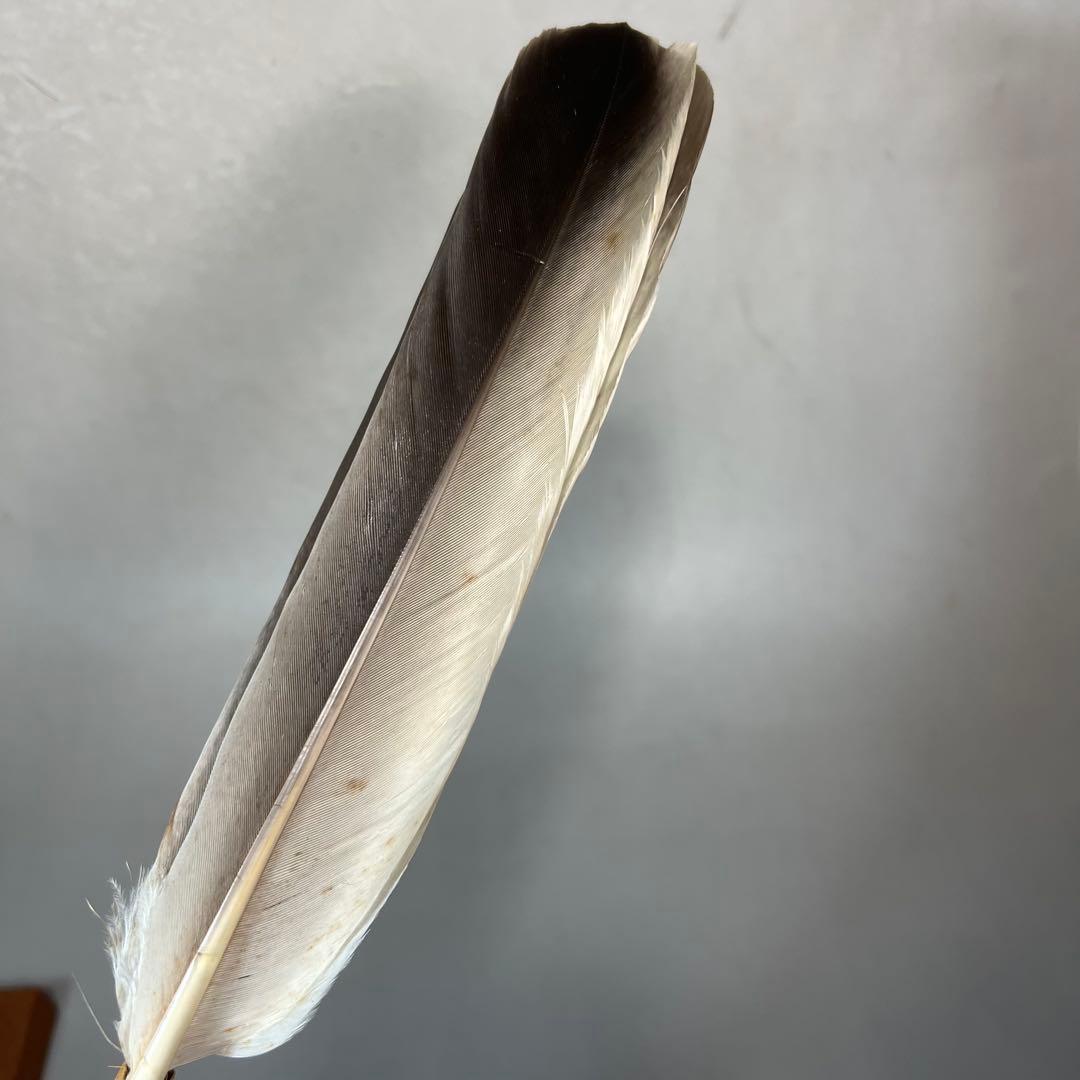 羽箒 箒博作 三ツ羽根 2点まとめて 茶道具