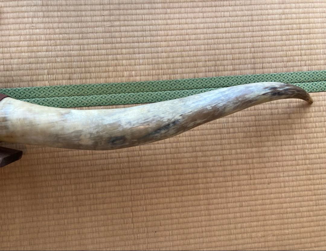 希少　テキサスロングホーン角　200㎝　オーナメント　壁掛け飾り　アメリカン雑貨