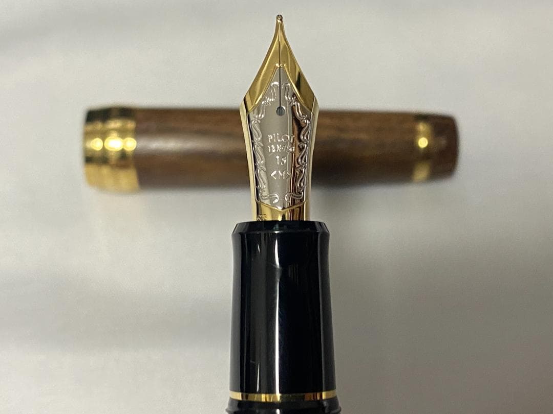 PILOT 万年筆 カスタム槐 ペン種 M