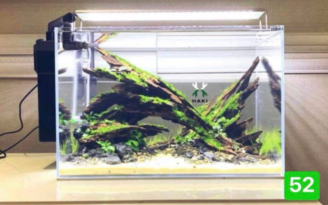 水槽用流木 流木 ブランチウッド 。アクアリウム　パルダリウム　マシンガンウッド