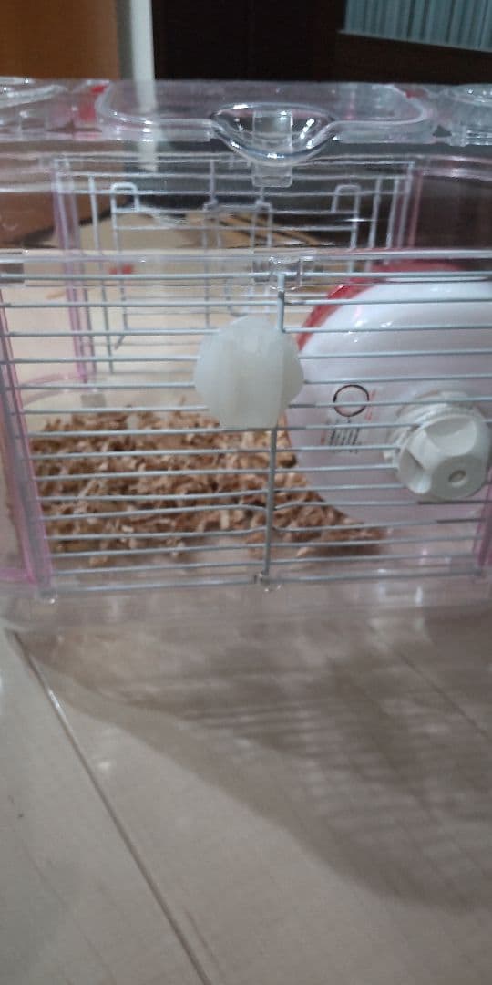 ハムスター飼育セット 移動ケージ付き