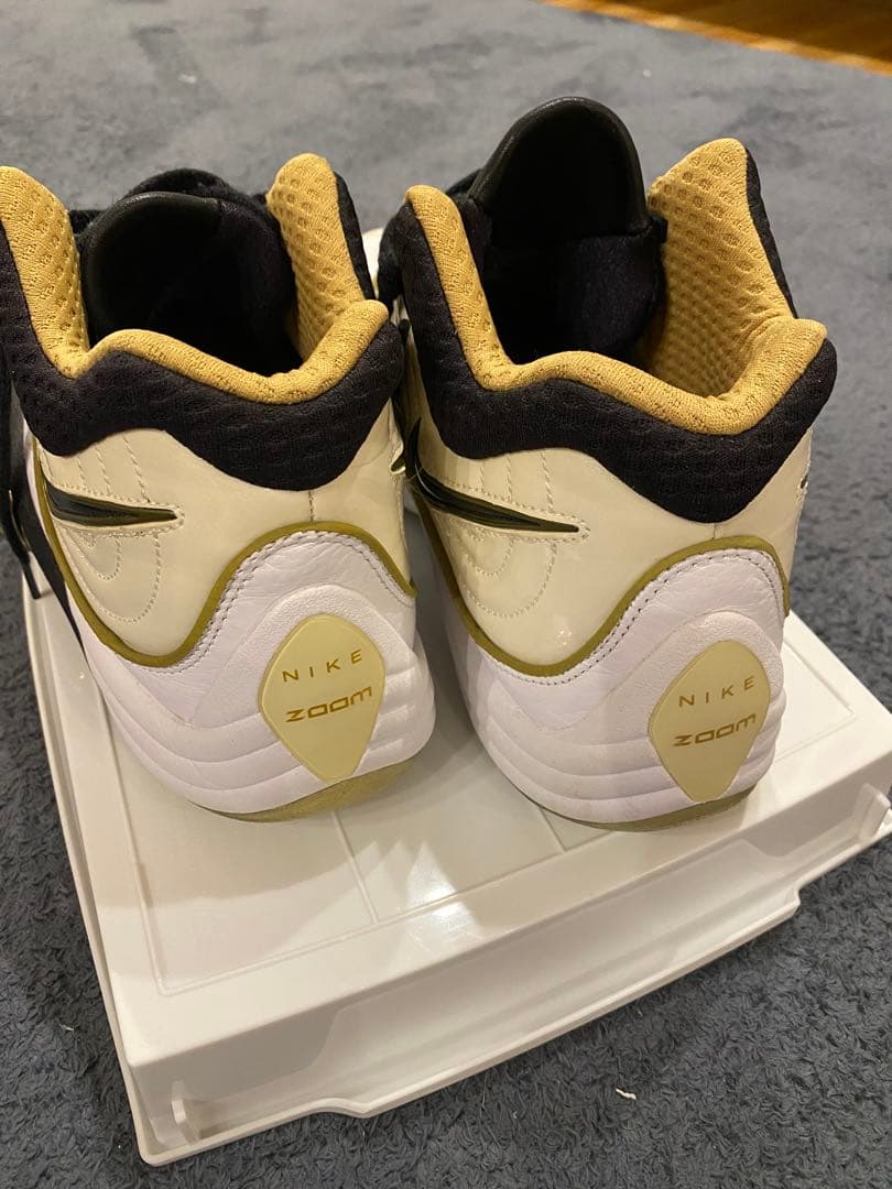 Nike Zoom uptempo5 zoomfright5 バッシュ　田臥勇太