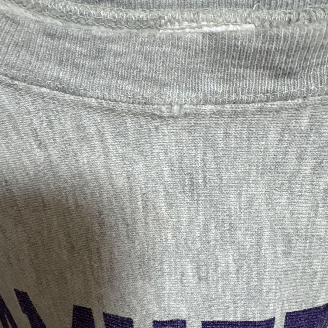 激レア！袖目無しでパープル2段染み込みプリント！！チャンピオン80sトリコタグ！