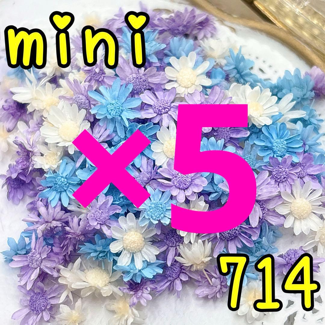 m-happyページ✩.*˚