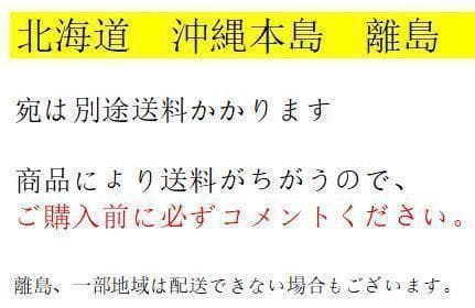 人工芝2m×10mロール芝丈35mm芝生 密度2倍固定ピン付2本セット