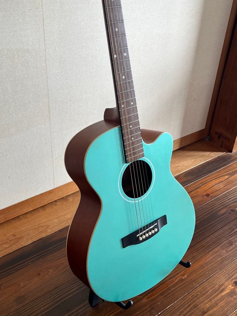 ARIA エレアコ FET-R1