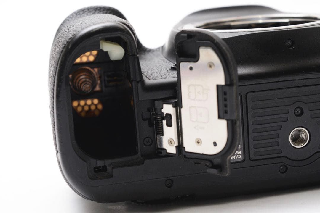 一眼レフカメラCanon EOS 5D MarkIV標準&望遠ダブルレンズセット