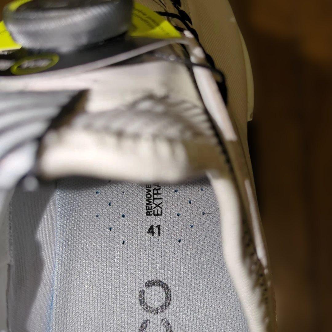 ecco BIOM C4 BOA 　エコーバイオムC4ボア