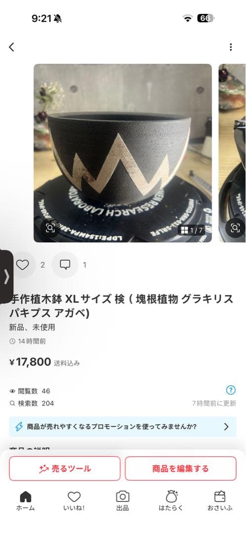 リー 樣確認專用手作植木鉢 XLサイズ 2点検（ 塊根植物 グラキリス パキプス