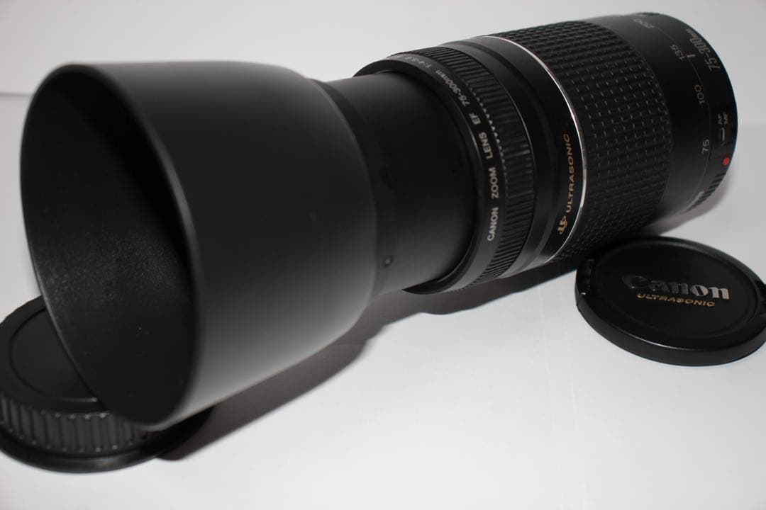 ☆超望遠レンズ☆一眼レフカメラ☆Canon EF75-300㎜I USM ☆