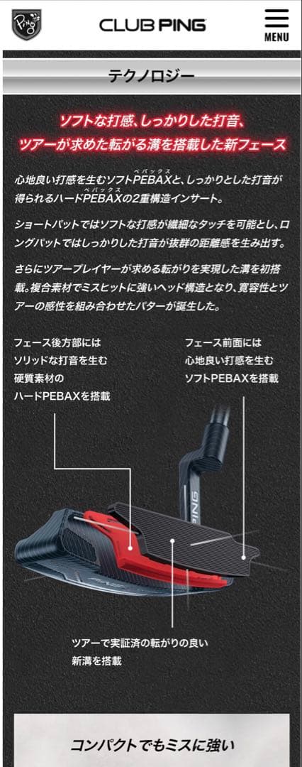 [希少]レアスペック　PING Tyne4 パター　タイン　Tyne 32インチ
