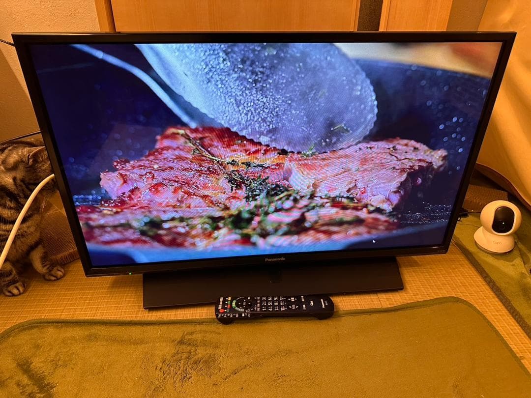 Panasonic　パナソニック 32型 テレビ TH-32F350 18年美品
