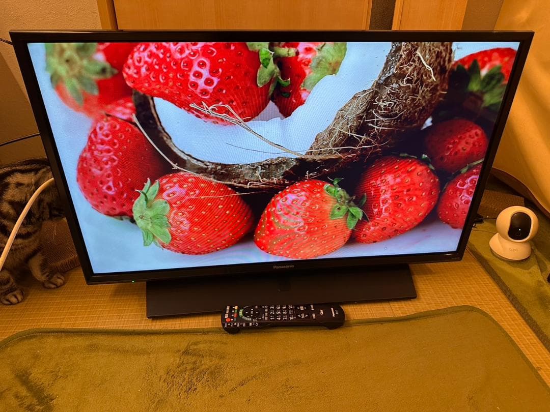 Panasonic　パナソニック 32型 テレビ TH-32F350 18年美品