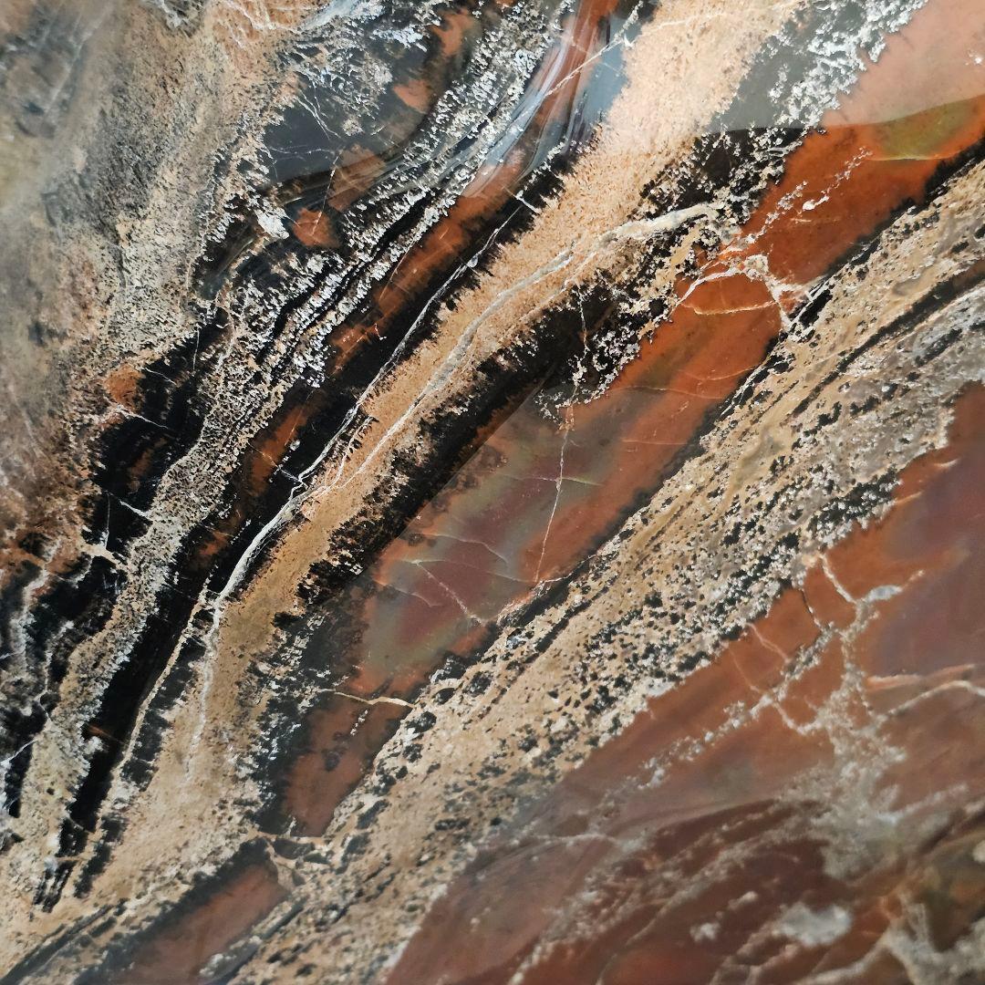 アリゾナ産珪化木51kg 木石　水石　観賞石