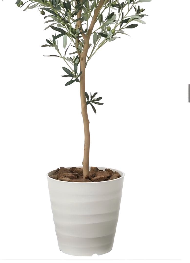 光触媒　人工観葉植物　フェイクグリーン　オリーブツリー 高さ 1.6m