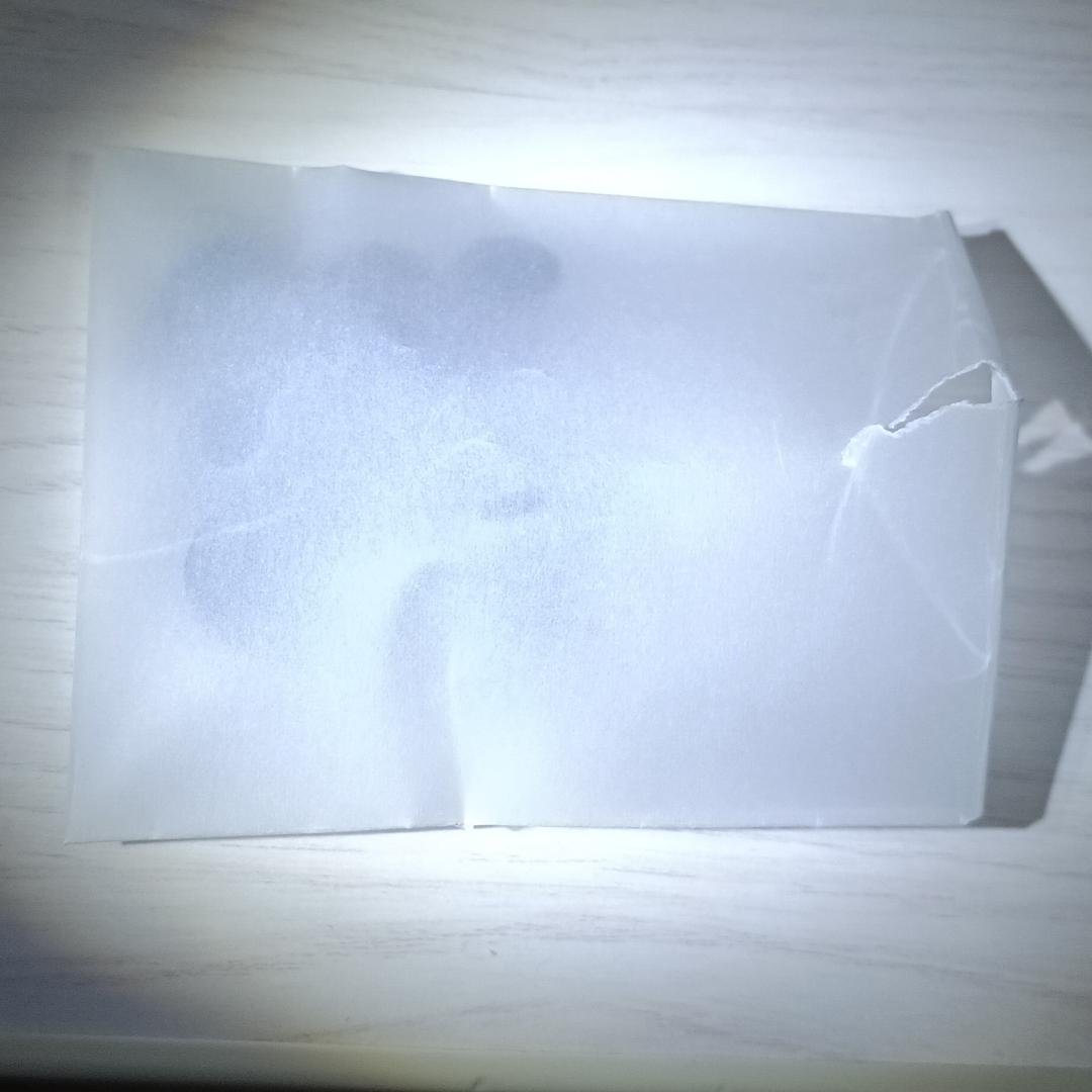 イヤホン Sennheiser IE200