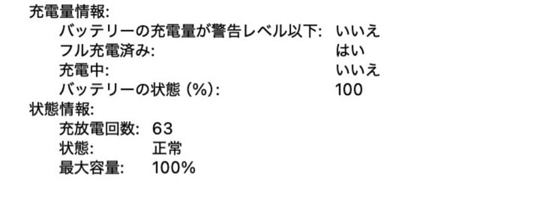 美品　2024年7月購入　バッテリー100%　MacBook Air 13 M2