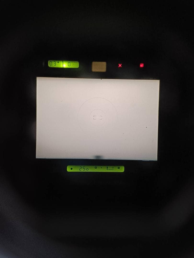 超美品　NIKON ニコン　 F4 フィルムカメラ　モルト新品交換済 Y861