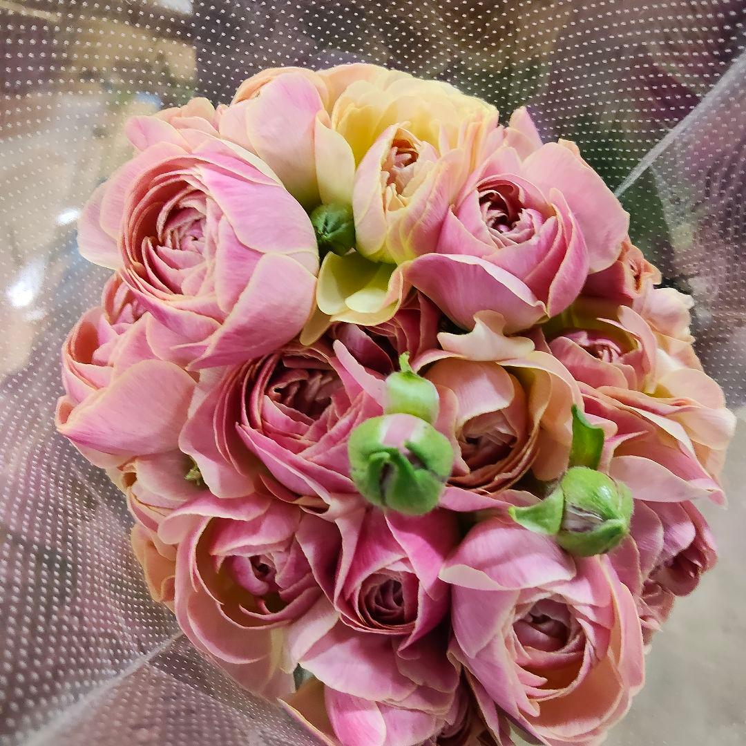 そら様おまとめ[バラ 切り花 生花]1