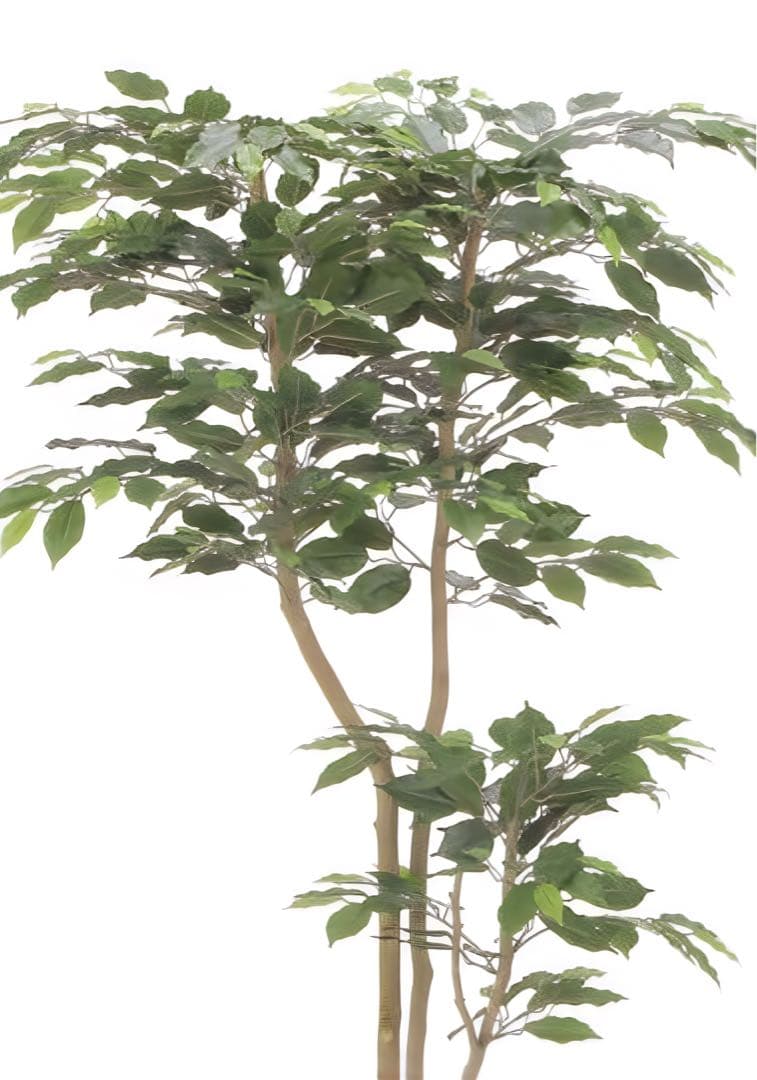 光触媒　人工観葉植物　フェイクグリーン　デザインベンジャミン1.6