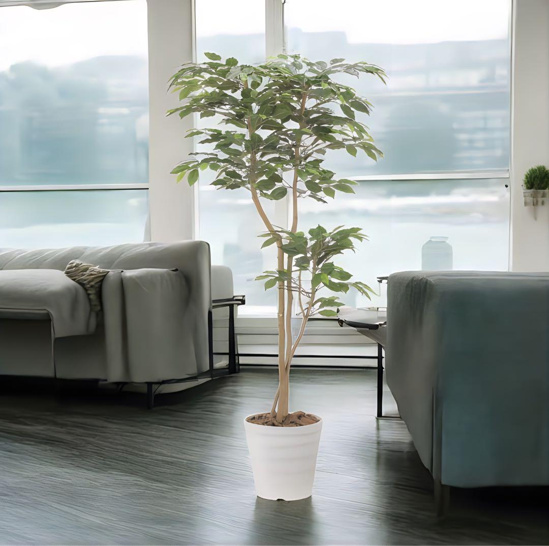 光触媒　人工観葉植物　フェイクグリーン　デザインベンジャミン1.6