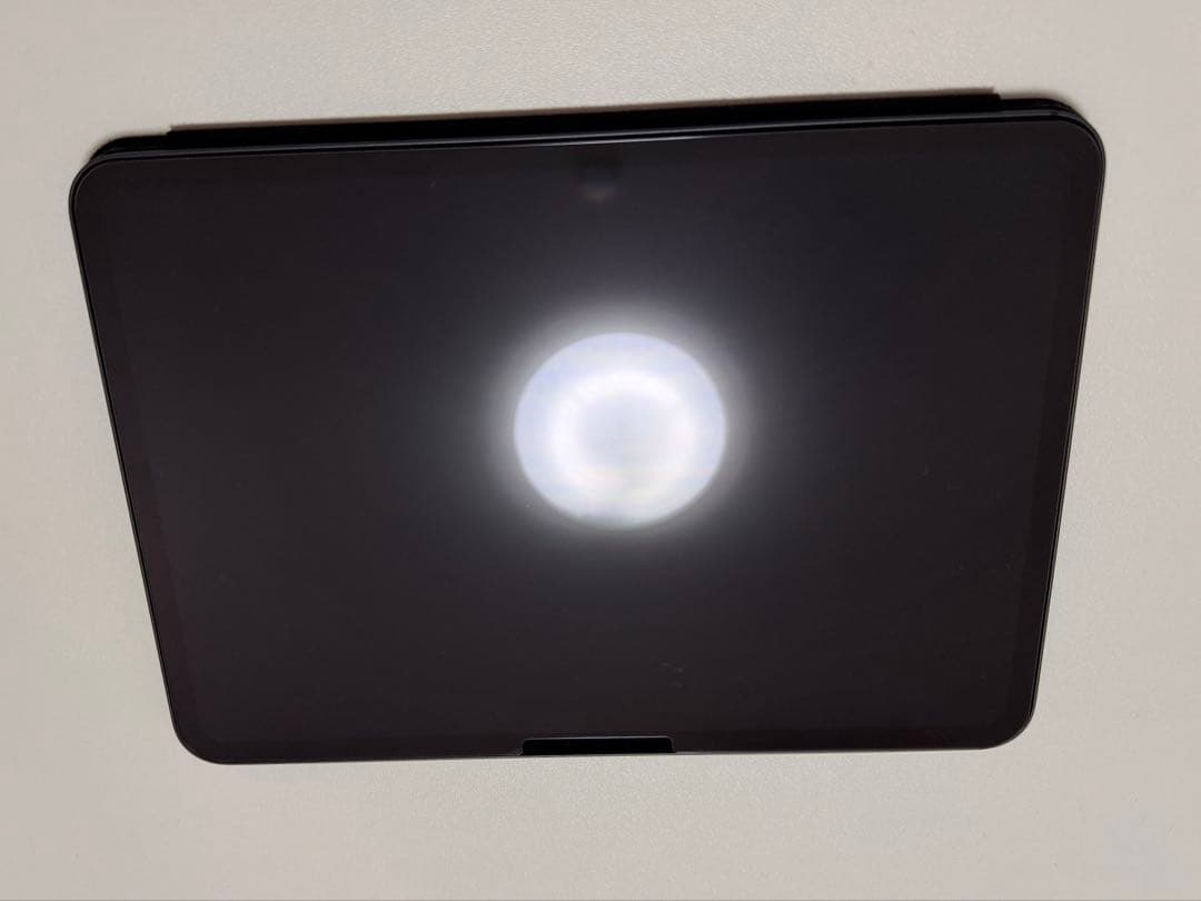 【Hana_a】11インチiPad Pro M4 256GB Wi-Fi