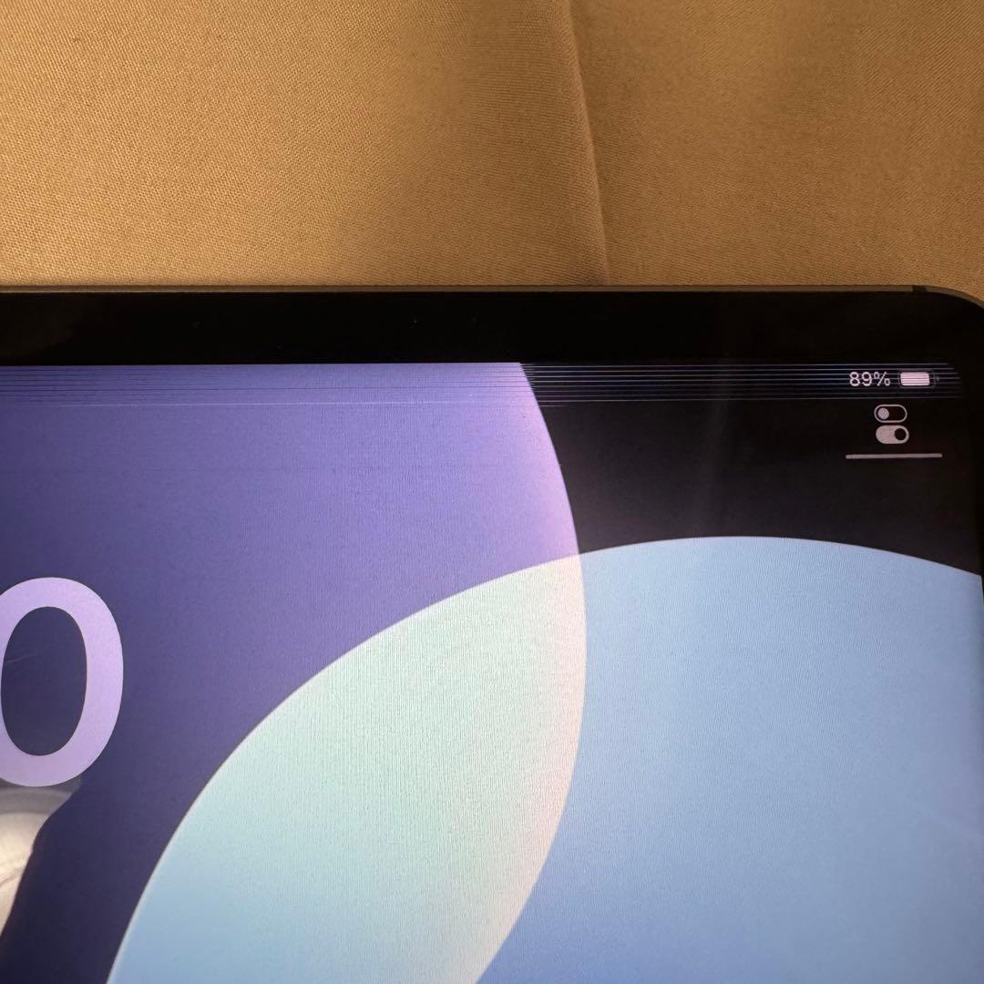 【ジャンク品】iPad Pro (12.9インチ) 第5世代 256GB