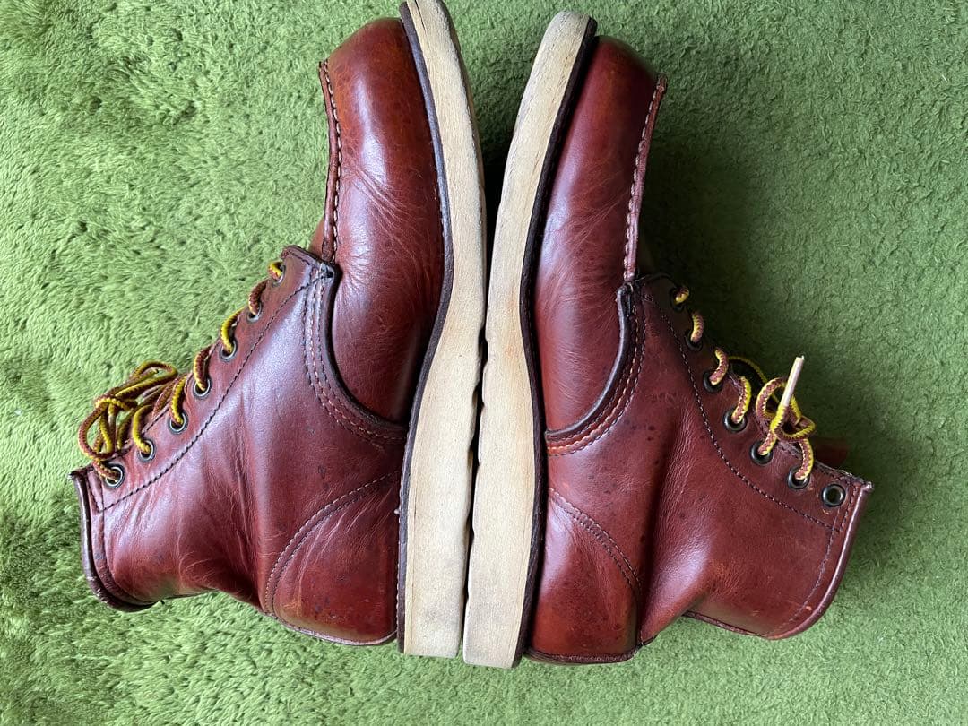 レッドウイング　875 羽タグ