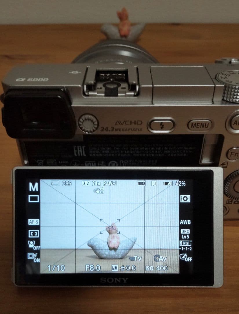 SONY ソニー α6000 ミラーレス一眼 パワーズームレンズキット